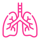 Heart & Lung Specialist Investigations & Services